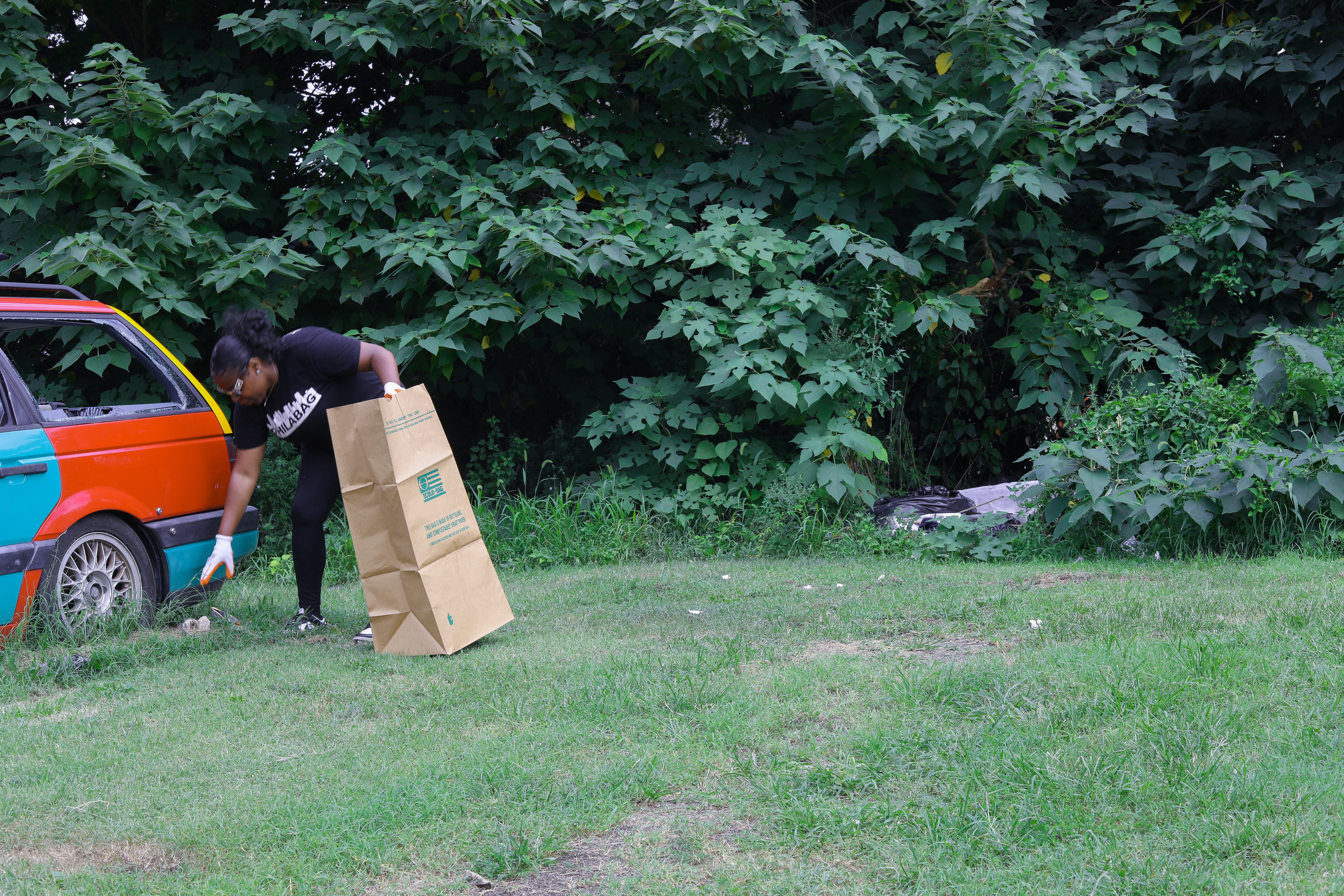 Greener Spaces - Community Garden